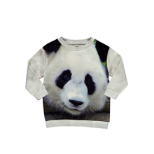 ǰ